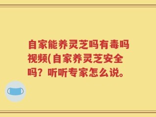 自家能养灵芝吗有毒吗视频(自家养灵芝安全吗？听听专家怎么说。