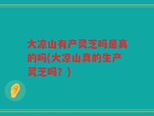 大凉山有产灵芝吗是真的吗(大凉山真的生产灵芝吗？)