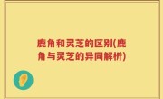 鹿角和灵芝的区别(鹿角与灵芝的异同解析)