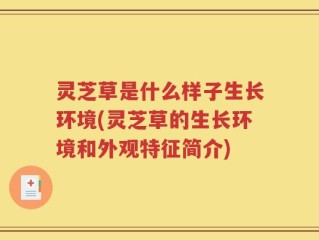 灵芝草是什么样子生长环境(灵芝草的生长环境和外观特征简介)