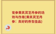 党参黄芪灵芝丹参的功效与作用(黄芪灵芝丹参：良好的养生佳品)