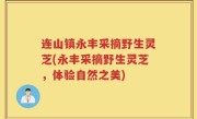 连山镇永丰采摘野生灵芝(永丰采摘野生灵芝，体验自然之美)