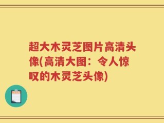超大木灵芝图片高清头像(高清大图：令人惊叹的木灵芝头像)