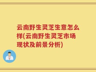 云南野生灵芝生意怎么样(云南野生灵芝市场现状及前景分析)
