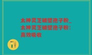 太神灵芝破壁孢子粉_太神灵芝破壁孢子粉：高效吸收