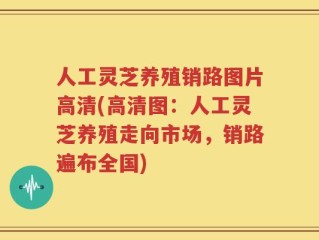 人工灵芝养殖销路图片高清(高清图：人工灵芝养殖走向市场，销路遍布全国)