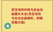 灵芝功效作用与主治功能图片大全(灵芝功效与主治全面解析，附图完整介绍)