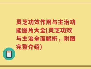 灵芝功效作用与主治功能图片大全(灵芝功效与主治全面解析，附图完整介绍)