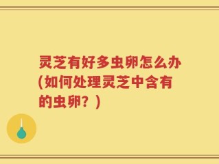 灵芝有好多虫卵怎么办(如何处理灵芝中含有的虫卵？)