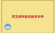 灵芝成熟后还能生长吗