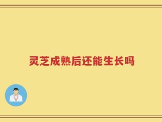 灵芝成熟后还能生长吗