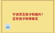 宁波灵芝孢子粉图片？正宗孢子粉哪里买