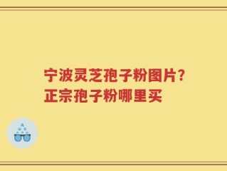宁波灵芝孢子粉图片？正宗孢子粉哪里买
