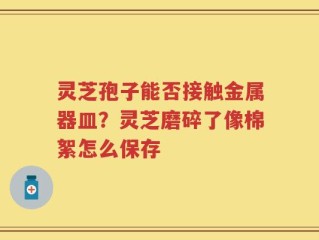 灵芝孢子能否接触金属器皿？灵芝磨碎了像棉絮怎么保存