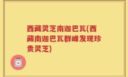 西藏灵芝南迦巴瓦(西藏南迦巴瓦群峰发现珍贵灵芝)