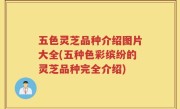 五色灵芝品种介绍图片大全(五种色彩缤纷的灵芝品种完全介绍)