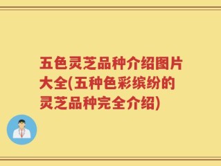 五色灵芝品种介绍图片大全(五种色彩缤纷的灵芝品种完全介绍)