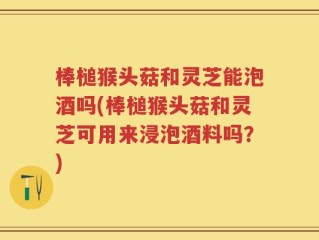 棒槌猴头菇和灵芝能泡酒吗(棒槌猴头菇和灵芝可用来浸泡酒料吗？)