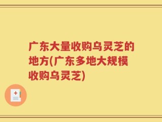 广东大量收购乌灵芝的地方(广东多地大规模收购乌灵芝)