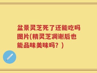 盆景灵芝死了还能吃吗图片(精灵芝凋谢后也能品味美味吗？)