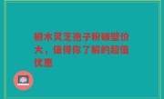 椴木灵芝孢子粉破壁价大，值得你了解的超值优惠