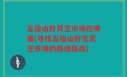 五指山野灵芝市场在哪里(寻找五指山野生灵芝市场的路线指南)