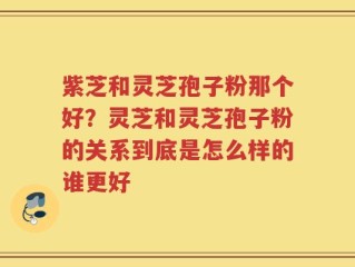 紫芝和灵芝孢子粉那个好？灵芝和灵芝孢子粉的关系到底是怎么样的谁更好