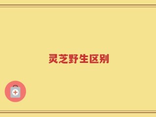 灵芝野生区别