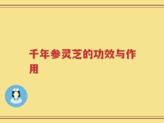 千年参灵芝的功效与作用