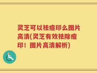 灵芝可以祛痘印么图片高清(灵芝有效祛除痘印！图片高清解析)
