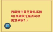 西藏野生灵芝能乱采摘吗(西藏灵芝是否可以随意采摘？)
