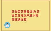 野生灵芝重毒症状(野生灵芝导致严重中毒：毒症状详解)