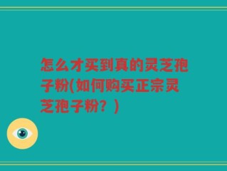 怎么才买到真的灵芝孢子粉(如何购买正宗灵芝孢子粉？)