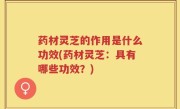 药材灵芝的作用是什么功效(药材灵芝：具有哪些功效？)