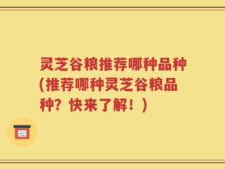 灵芝谷粮推荐哪种品种(推荐哪种灵芝谷粮品种？快来了解！)