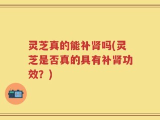 灵芝真的能补肾吗(灵芝是否真的具有补肾功效？)