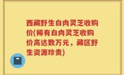 西藏野生白肉灵芝收购价(稀有白肉灵芝收购价高达数万元，藏区野生资源珍贵)