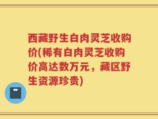 西藏野生白肉灵芝收购价(稀有白肉灵芝收购价高达数万元，藏区野生资源珍贵)
