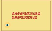 完美的野生灵芝(超级品质野生灵芝珍品)