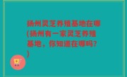 扬州灵芝养殖基地在哪(扬州有一家灵芝养殖基地,你知道在哪吗?)