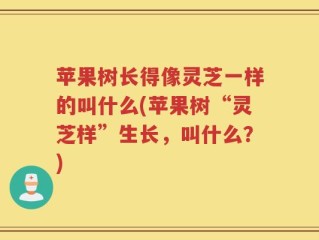 苹果树长得像灵芝一样的叫什么(苹果树“灵芝样”生长，叫什么？)