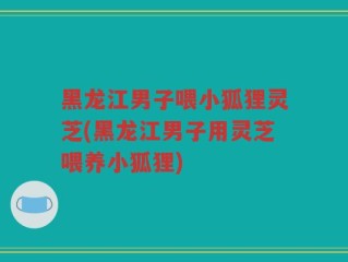 黑龙江男子喂小狐狸灵芝(黑龙江男子用灵芝喂养小狐狸)