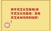 册亨灵芝示范基地(册亨灵芝示范基地：发现灵芝未知功效的秘密！)