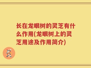 长在龙眼树的灵芝有什么作用(龙眼树上的灵芝用途及作用简介)