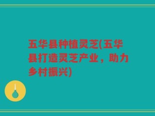 五华县种植灵芝(五华县打造灵芝产业，助力乡村振兴)