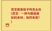 灵芝就是菇子吗怎么吃(灵芝：一种与蘑菇类似的食材，如何食用？)