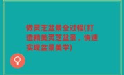 做灵芝盆景全过程(打造精美灵芝盆景，快速实现盆景美学)