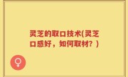 灵芝的取口技术(灵芝口感好，如何取材？)
