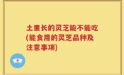 土里长的灵芝能不能吃(能食用的灵芝品种及注意事项)
