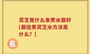 灵芝用什么来煮水最好(最佳煮灵芝水方法是什么？)